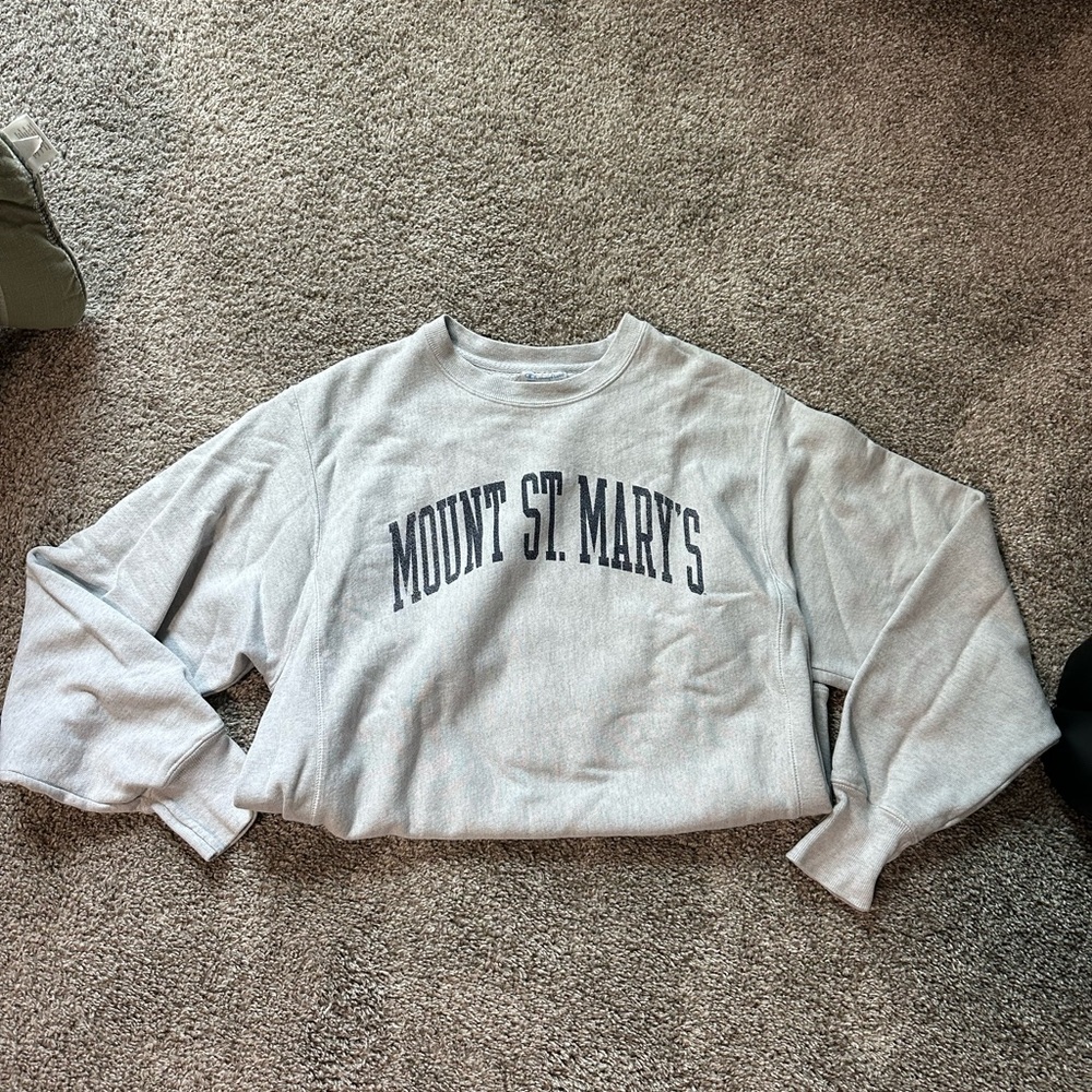 Champion sweatshirt
